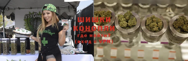 гидра Михайлов