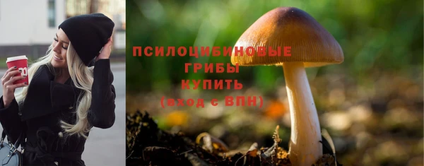 прущая мука Михайловск
