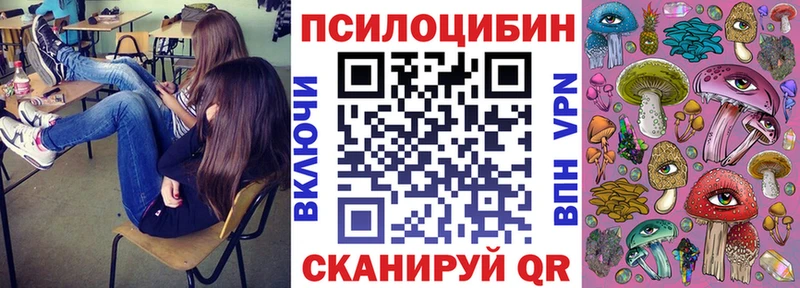 Галлюциногенные грибы Psilocybe  дарнет шоп  Нижняя Тура 